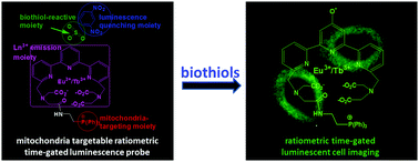 Graphical abstract: Development of a mitochondria targetable ratiometric time-gated luminescence probe for biothiols based on lanthanide complexes