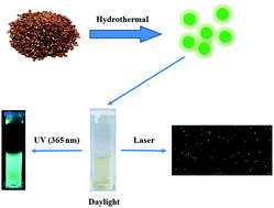 Graphical abstract: Highly photoluminescent carbon dots derived from linseed and their applications in cellular imaging and sensing