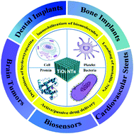 Graphical abstract: Progress in TiO2 nanotube coatings for biomedical applications: a review