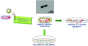 Graphical abstract: Peptide functionalized magneto-plasmonic nanoparticles obtained by microfluidics for inhibition of β-amyloid aggregation