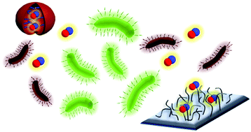 Graphical abstract: Recent advances in nitric oxide delivery for antimicrobial applications using polymer-based systems