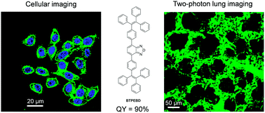 Graphical abstract: Organic nanoparticles with ultrahigh quantum yield and aggregation-induced emission characteristics for cellular imaging and real-time two-photon lung vasculature imaging