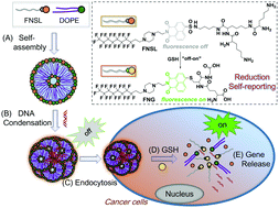 Graphical abstract: A reduction-responsive liposomal nanocarrier with self-reporting ability for efficient gene delivery