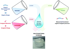 Graphical abstract: Inorganic polymerization: an attractive route to biocompatible hybrid hydrogels