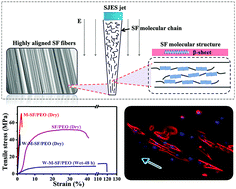 Graphical abstract: Fabrication of high performance silk fibroin fibers via stable jet electrospinning for potential use in anisotropic tissue regeneration