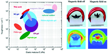 Graphical abstract: Super tough magnetic hydrogels for remotely triggered shape morphing