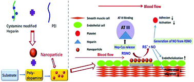 Graphical abstract: Multifunctional coatings that mimic the endothelium: surface bound active heparin nanoparticles with in situ generation of nitric oxide from nitrosothiols