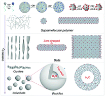 Graphical abstract: Photoluminescent and pH-responsive supramolecular structures from co-assembly of carbon quantum dots and zwitterionic surfactant micelles