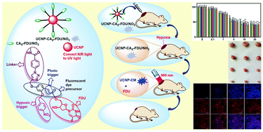 Graphical abstract: An upconverting nanotheranostic agent activated by hypoxia combined with NIR irradiation for selective hypoxia imaging and tumour therapy