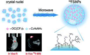 Graphical abstract: Potential detection of cancer with fluorinated silicon nanoparticles in 19F MR and fluorescence imaging