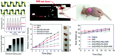 Graphical abstract: Black phosphorus analogue tin sulfide nanosheets: synthesis and application as near-infrared photothermal agents and drug delivery platforms for cancer therapy
