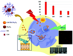 Graphical abstract: Fluorescence-guided magnetic nanocarriers for enhanced tumor targeting photodynamic therapy