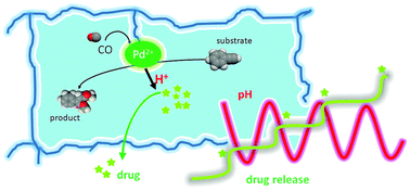 Graphical abstract: Pulsatile release from a flat self-oscillating chitosan macrogel
