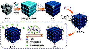 Graphical abstract: Discrimination and highly selective adsorption of phosphoproteins and glycoproteins with arginine-functionalized polyhedral oligomeric silsesquioxane frameworks