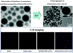 Graphical abstract: Ratiometric detection of Zn2+ and Cd2+ based on self-assembled nanoarchitectures with dual emissions involving aggregation enhanced emission (AEE) and its application