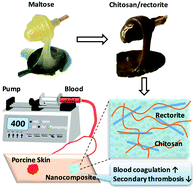 Graphical abstract: Chitosan/rectorite nanocomposite with injectable functionality for skin hemostasis