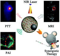 Graphical abstract: Rational design of Fe3O4@C nanoparticles for simultaneous bimodal imaging and chemo-photothermal therapy in vitro and in vivo