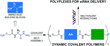 Graphical abstract: Biomolecular dynamic covalent polymers for DNA complexation and siRNA delivery