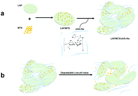 Graphical abstract: LAPONITE® nanoplatform functionalized with histidine modified oligomeric hyaluronic acid as an effective vehicle for the anticancer drug methotrexate