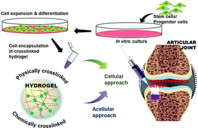 Graphical abstract: Injectable hydrogels: a new paradigm for osteochondral tissue engineering