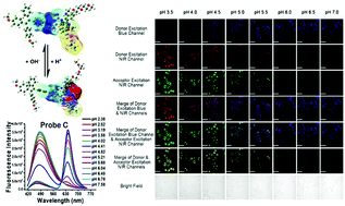 Graphical abstract: Near-infrared fluorescent probes based on TBET and FRET rhodamine acceptors with different pKa values for sensitive ratiometric visualization of pH changes in live cells