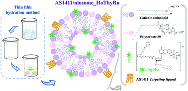 Graphical abstract: AS1411-decorated niosomes as effective nanocarriers for Ru(iii)-based drugs in anticancer strategies