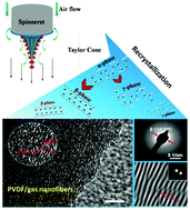 Graphical abstract: Pure OPM nanofibers with high piezoelectricity designed for energy harvesting in vitro and in vivo