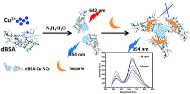 Graphical abstract: Facile synthesis of near-infrared emitting dBSA-templated Cu nanoclusters for sensitive detection of heparin
