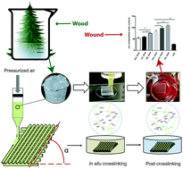 Graphical abstract: 3D printing of nanocellulose hydrogel scaffolds with tunable mechanical strength towards wound healing application