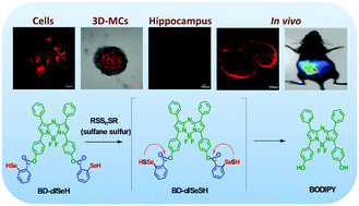 Graphical abstract: Imaging of intracellular sulfane sulfur expression changes under hypoxic stress via a selenium-containing near-infrared fluorescent probe