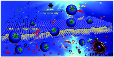 Graphical abstract: Polymer ligand-assisted fabrication of multifunctional and redox-responsive self-assembled magnetic nanoclusters for bimodal imaging and cancer treatment
