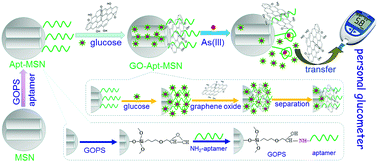 Graphical abstract: Graphene oxide-gated mesoporous silica nanocontainers using aptamers for arsenite detection with glucometer readout