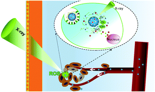 Graphical abstract: Overcoming drug resistance with functional mesoporous titanium dioxide nanoparticles combining targeting, drug delivery and photodynamic therapy