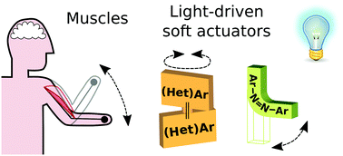 Graphical abstract: Gel-based soft actuators driven by light