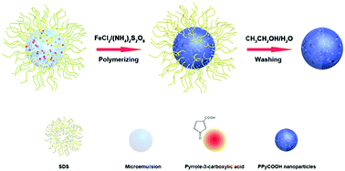 Graphical abstract: BSA-modified poly(pyrrole-3-carboxylic acid) nanoparticles as carriers for combined chemo-photothermal therapy