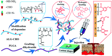 Graphical abstract: Preparation of mussel-inspired injectable hydrogels based on dual-functionalized alginate with improved adhesive, self-healing, and mechanical properties