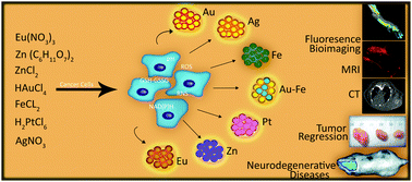 Graphical abstract: Mammalian cells: a unique scaffold for in situ biosynthesis of metallic nanomaterials and biomedical applications