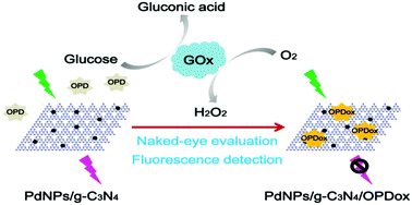 Graphical abstract: Pd nanoparticle-decorated graphitic C3N4 nanosheets with bifunctional peroxidase mimicking and ON–OFF fluorescence enable naked-eye and fluorescent dual-readout sensing of glucose
