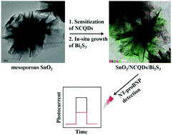 Graphical abstract: A novel label-free photoelectrochemical immunosensor based on NCQDs and Bi2S3 co-sensitized hierarchical mesoporous SnO2 microflowers for detection of NT-proBNP