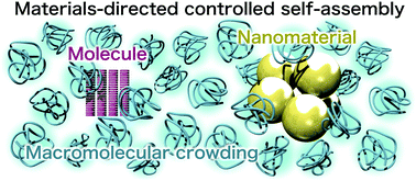 Graphical abstract: Macromolecular crowding for materials-directed controlled self-assembly