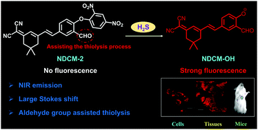 Graphical abstract: A NIR fluorescent probe for the detection and visualization of hydrogen sulfide using the aldehyde group assisted thiolysis of dinitrophenyl ether strategy