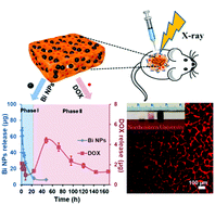 Graphical abstract: Sequential delivery of bismuth nanoparticles and doxorubicin by injectable macroporous hydrogels for combined anticancer kilovoltage X-ray radio- and chemo-therapy