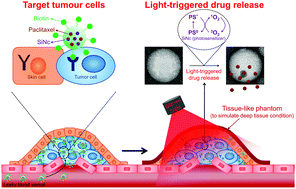 Graphical abstract: Cancer-targeted reactive oxygen species-degradable polymer nanoparticles for near infrared light-induced drug release