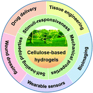 Graphical abstract: Multifunctional cellulose-based hydrogels for biomedical applications
