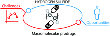 Graphical abstract: The benefits of macromolecular hydrogen sulfide prodrugs
