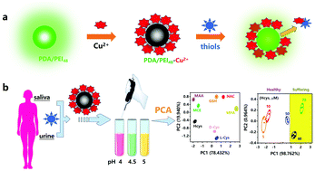 Graphical abstract: Label-free non-invasive fluorescent pattern discrimination of thiols and chiral recognition of cysteine enantiomers in biofluids using a bioinspired copolymer–Cu2+ hybrid sensor array regulated by pH