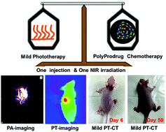 Graphical abstract: Achieving traceless ablation of solid tumors without recurrence by mild photothermal-chemotherapy of triple stimuli-responsive polymer–drug conjugate nanoparticles