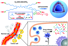 Graphical abstract: CO2-Acidolysis of iminoboronate ester based polymersomes