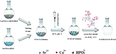 Graphical abstract: Injectable strontium-doped hydroxyapatite integrated with phosphoserine-tethered poly(epsilon-lysine) dendrons for osteoporotic bone defect repair