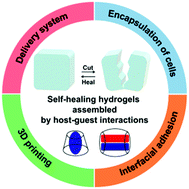 Graphical abstract: Progress in self-healing hydrogels assembled by host–guest interactions: preparation and biomedical applications